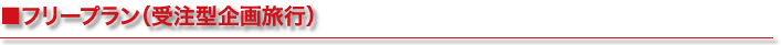 ■フリープラン（受注型企画旅行）