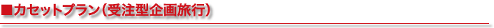 ■カセットプラン（受注型企画旅行）