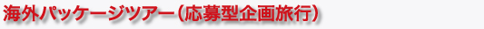 海外パッケージツアー（応募型企画旅行）